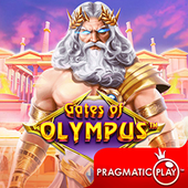 Cổng Olympus C186 slot